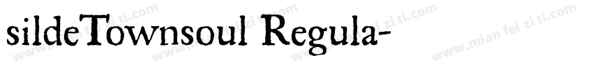 sildeTownsoul Regula字体转换